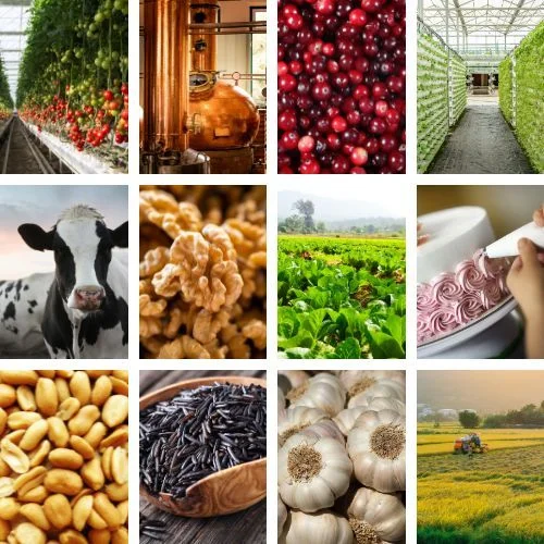 Agricultural and food industry collage showcasing diverse sectors including greenhouse farming, distilleries, berries, vertical farming, dairy, nuts, fresh produce, and rural agriculture