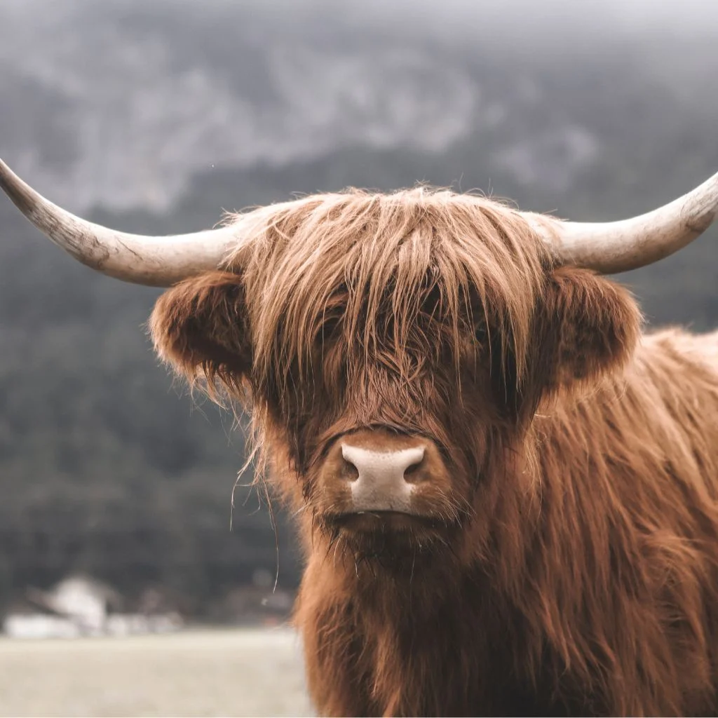 Agriculture PR agency specializing in agtech, commodity boards, and farming organization public relations